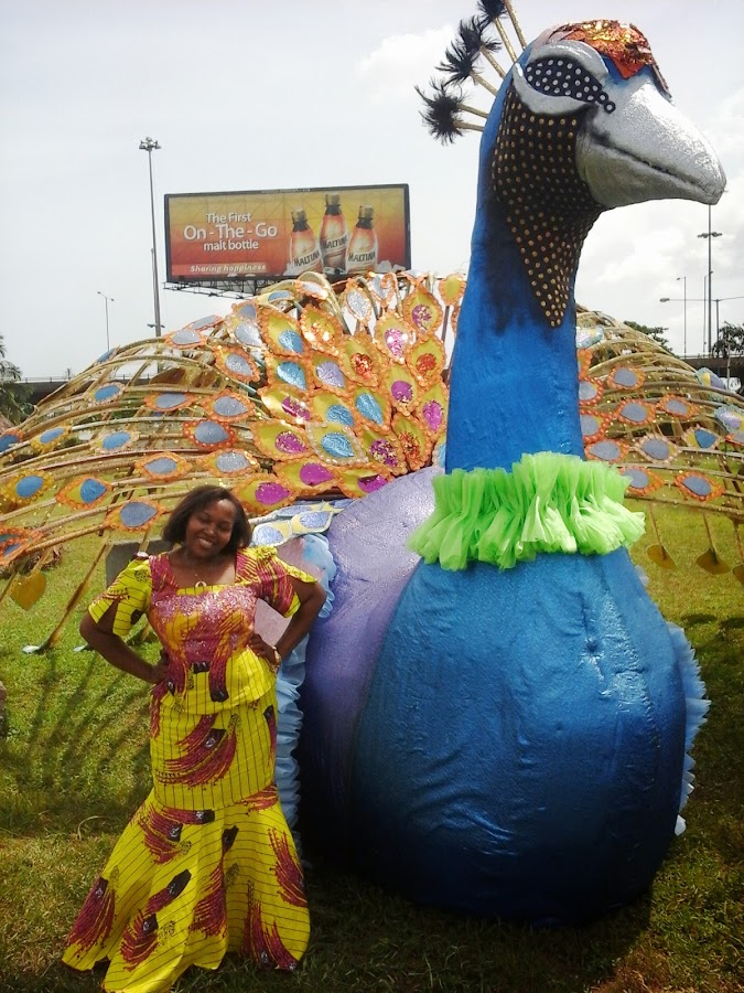 Peacock, Basket and Wings